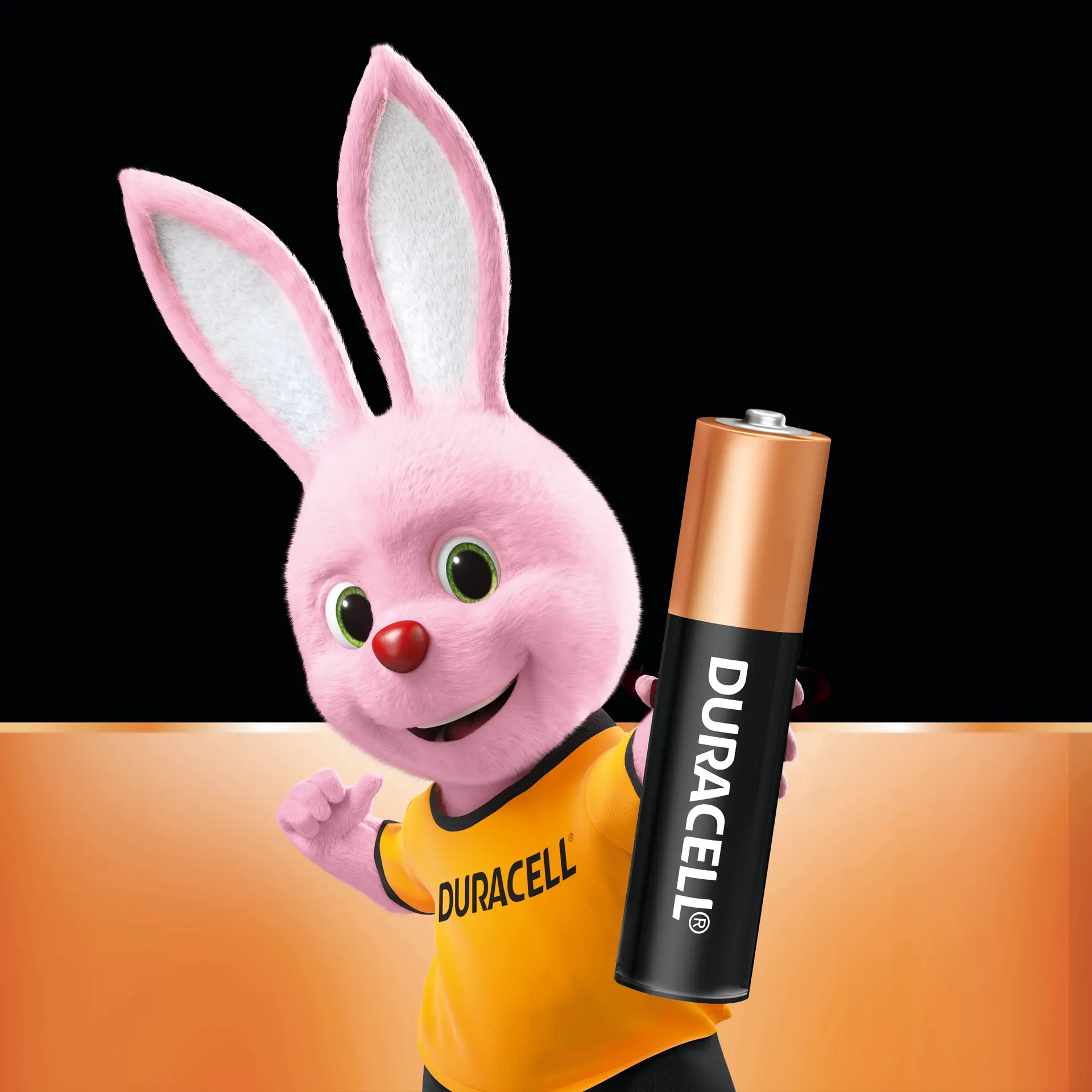Duracell Alkaline Batteries AAA 8 Pcs - view 6